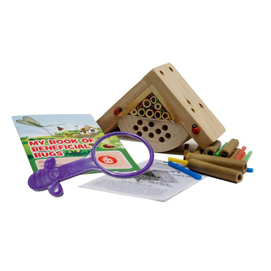 Childrens Bug Box