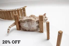 Invisible Lift: Cat Wall Ramp with Hammock Bed