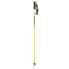 Line Pin Ski Poles