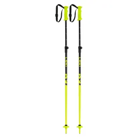 Rider Vario Adjustable Ski Poles