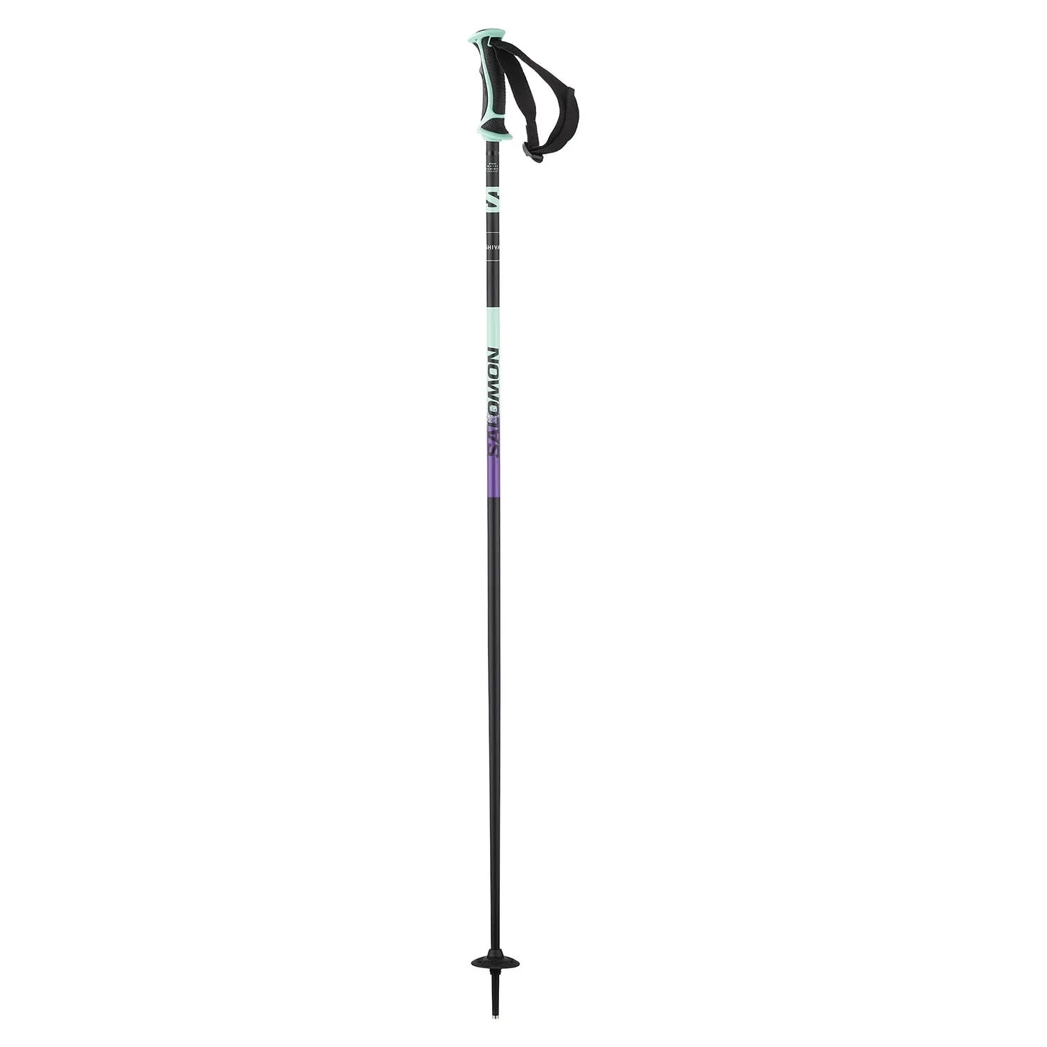 Shiva Ski Poles